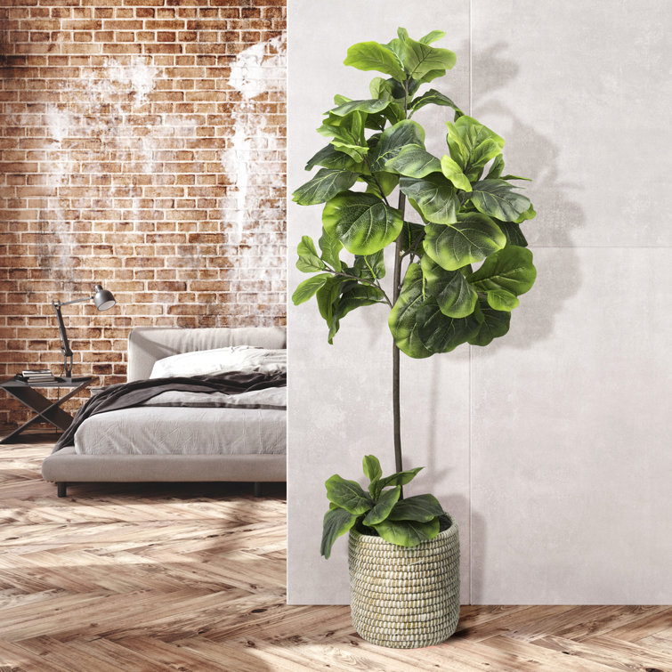 Sand & Stable 60'' Faux Fiddle Leaf Fig Tree in Rattan Basket & Reviews